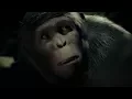 Video di The First 17 Minutes of Planet of The Apes: Last Frontier