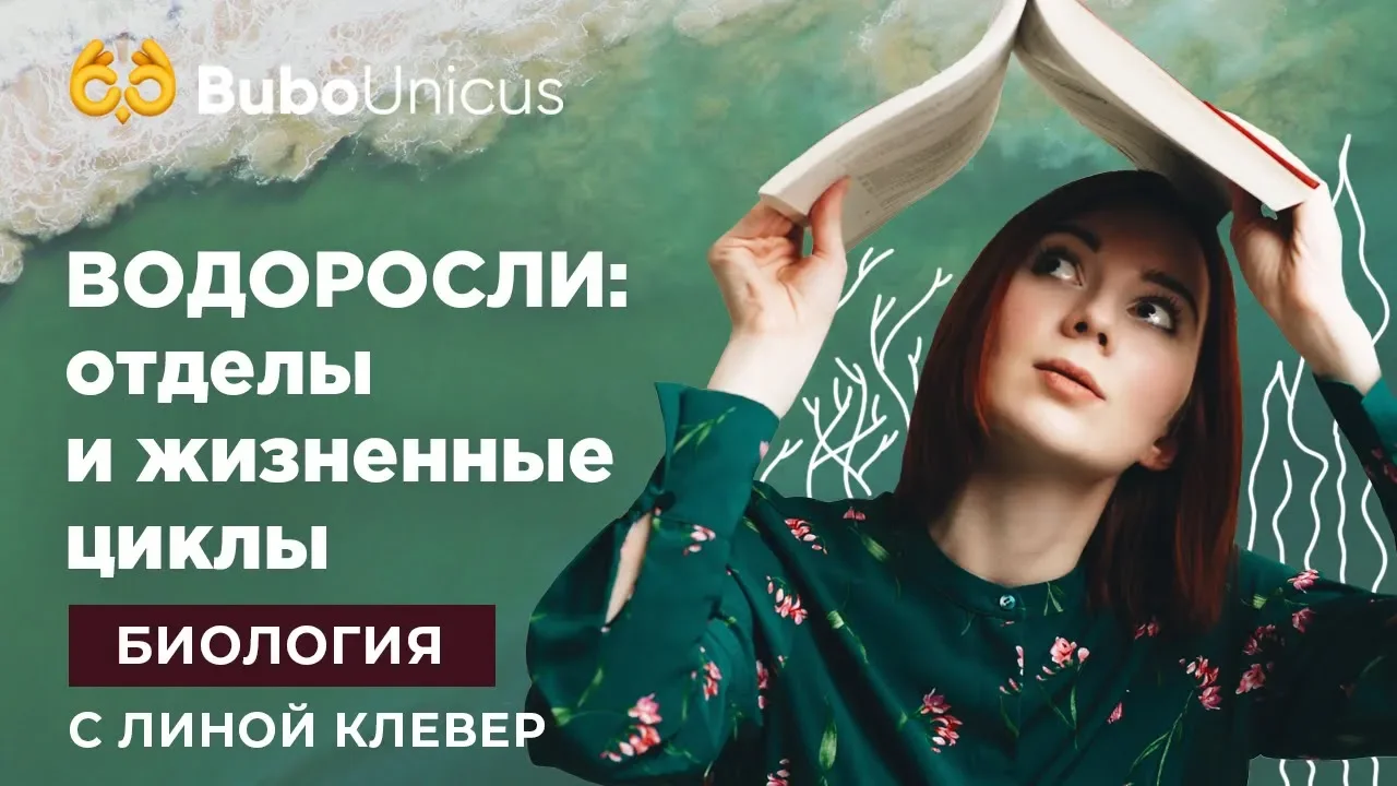 Водоросли: отделы и жизненные циклы | БИОЛОГИЯ ЕГЭ | Лина Клевер