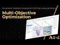 Multi-Objective Optimization - Lesson 6