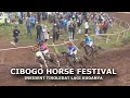 Download Lagu KELAS E PACUAN KUDA CIBOGO HORSE FESTIVAL 2025