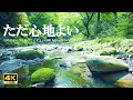 Download Lagu ただ心地よい水の音 新緑の森に響く鳥のさえずり:自律神経を整える、リラクゼーションにご活用ください【自然音,ASMR,4K,relaxing  nature sounds】