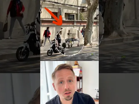 Just a normal morning in Shanghai...