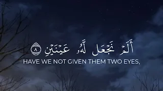 سورة البلد كامله القارئ محمد صديق المنشاوي 