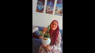 مسلسل المنظمة الحلقة 156 مترجم Mp4 