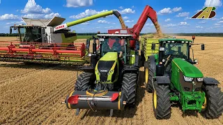 Getreideernte - 2 Mähdrescher & 4 Traktoren im Großeinsatz in der Landwirtschaft tractors by harvest