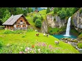 Download Lagu Beautiful Relaxing Music🌿Stop Overthinking, Recover Your Nervous System, Sleep Music