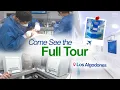 Inside the Top Dental Clinic in Los Algodones Mexico Full Tour Dental Lab Access