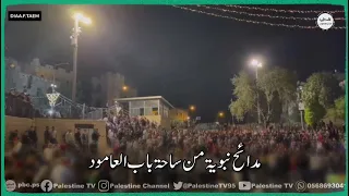  أنا ضيفك يا رسول الله   أنا ضيفك  أنا ضيف الله  مدائح نبوية في ساحة باب العامود دندنها