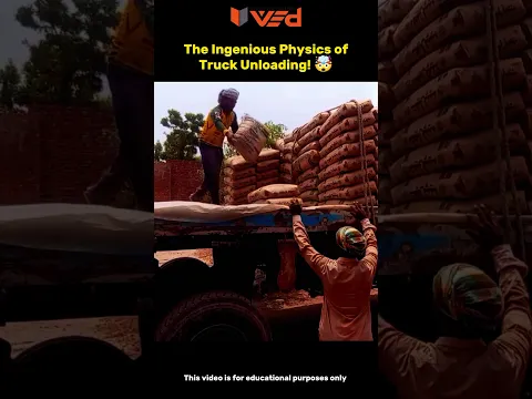 How Does This Truck Unload Heavy Bags So Easily? 🤯🚚 | Physics