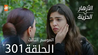 مسلسل الأزهار الحزينة الحلقة 301 الموسم الثالث 