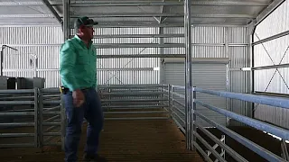 Auctions Plus Clearing Sale - KM LE Swain Shearing Module