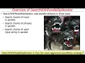 SearchWithParallelSpliterator Example Introduction