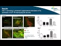 Download Lagu L-cells are key to cross-barrier signalling to the host peripheral nervous systemby Eilish Brosnan