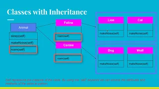 43 Multiple Inheritance in Python
