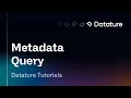 Metadata Query