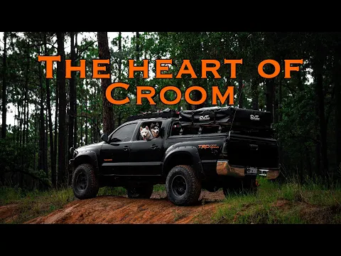 Download MP3 Exploring Croom WMA - Day 2 | The Wild Sunshine Trail