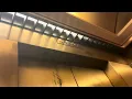 Dillard s-Tyrone Mall-St Pete FL