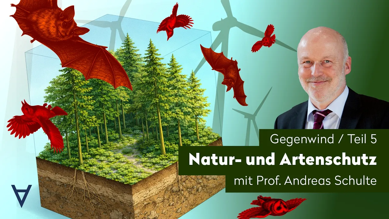 Die windigen Verharmloser