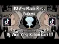 Download Lagu DJ AKU MASIH RINDU PADAMU AKU MASIH SAYANG PADAMU | DJ HAPUS AKU X MENGEJAR MIMPI SLOWED VIRAL