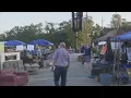 Flea across Florida kicks off in Chipley Carryville
