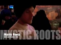 Mystic Roots Dreams / Bears