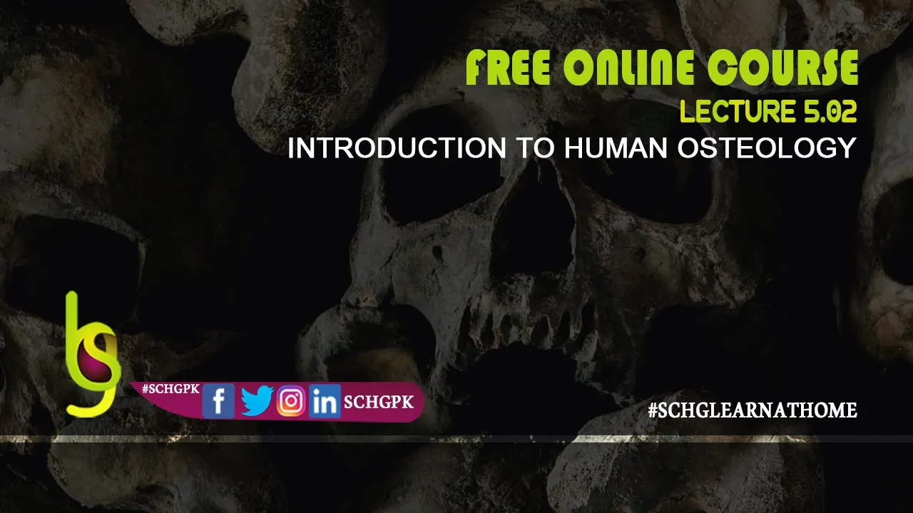 Introduction to Human Osteology | Lecture 5.02 | SCHG_FOC22_IHO | Taphonomy