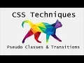 CSS Interactivity Electro Cat Studios