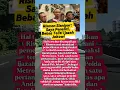 Download Lagu Rismon Sianipar: Saya Peneliti,Bebas Teliti Ijazah Jokowi#shortvideo #news #beritaterkini