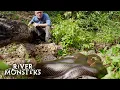 The Best Of Snakes: Anaconda, Krait, Viper! | River Monsters