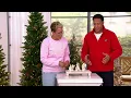 Lenox 7-Piece Holiday Mini Nativity Set on QVC