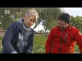 Rosy Road Trip - ABC Gardening Australia visits Wagner s Rose Nursery