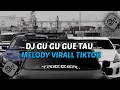 Download Lagu DJ GU GU GUE TAU X MELODY VIRALL TIKTOK BY ALWIN RMX