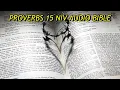 PROVERBS 15 NIV BIBLE with text