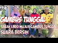 Download Lagu GAMBUS TUNGGAL // SASAK LAUQ MUJUR // .
