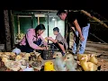 Harvesting clean chickens for sale after the sweltering summer days Thuy and Men restock the farm