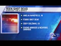 Teen shot in Chenango County
