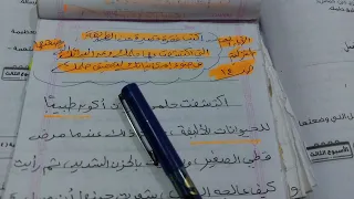 تعبير فقرة عن الطريقة التي اكتشفت بها حلمك وعن البدائل التي وضعتها في ضوء إمكانياتك لتحقيق حلمك 