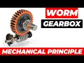 Mechanical Principle - Worm Gear Box
