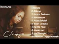 Download Lagu Lagu Kenangan Chrisye Paling Hits di Era 90 An | Playlist Tanpa Iklan