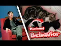 Is This Sexual Dominant Behavior In Cats