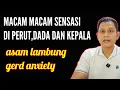 Download Lagu Sensasi di perut dada dan kepala asam lambung gerd anxiety