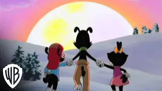 Wakko s Wish Golden Opportunity Warner Bros Entertainment