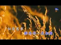 仍然記得嗰一次 | 杜麗莎 | 粵語 | 高清 | 演唱版本