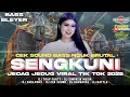 Download Lagu DJ SENGKUNI LEDA LEDE X MELODY DORAEMON AMUNISI CEK SOUND BASS BRUTAL