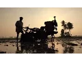 Life of the Monsoon