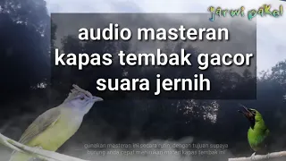 Download jangan pernah sepelekan masteran ini.sudah banyak murai batu dan cak ijo yang jadi juara. MP3