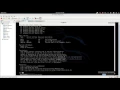 12 Exploits Payloads