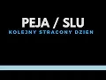 Download Lagu Peja  - Kolejny Stracony Dzień