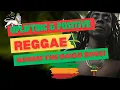 Uplifting and Positive Reggae - Gimme The Good Sensi - 100% Vinyl Mix - 2024