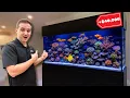 INSTALLING A STUNNING REEF AQUARIUM